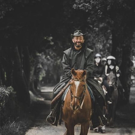 Glamping In Toscana, Luxury Tents In Agriturismo Biologico ソラーノ エクステリア 写真