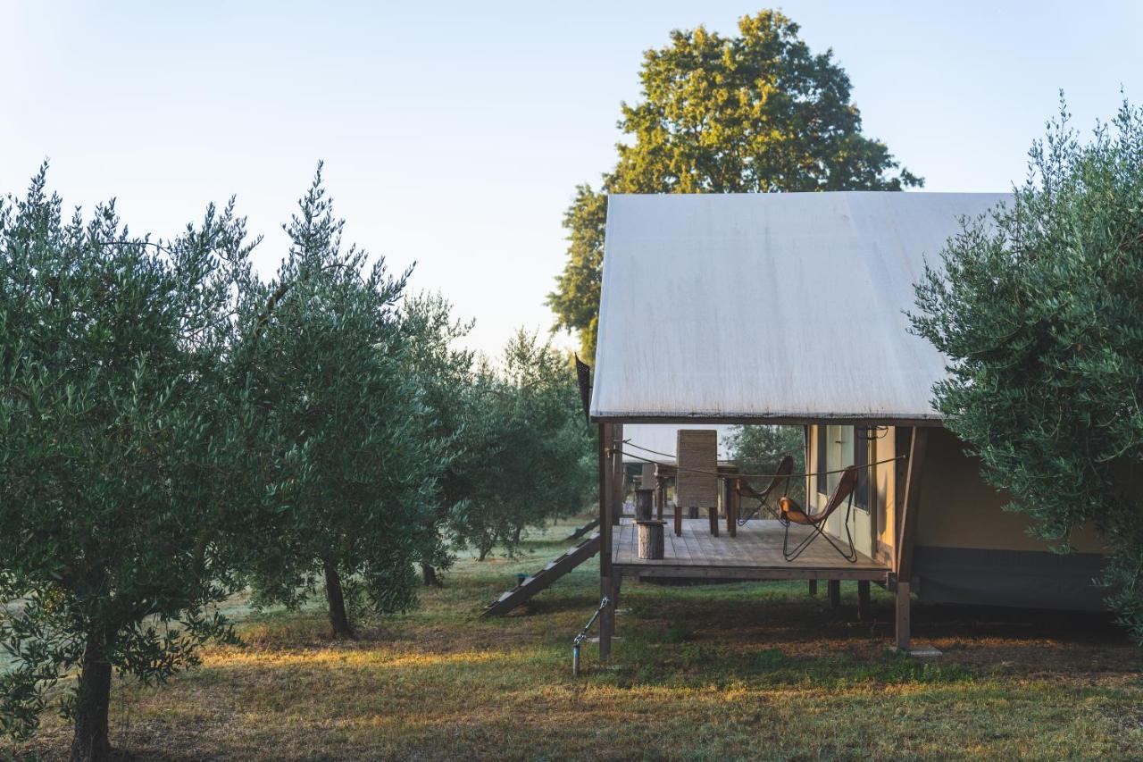 Glamping In Toscana, Luxury Tents In Agriturismo Biologico ソラーノ エクステリア 写真