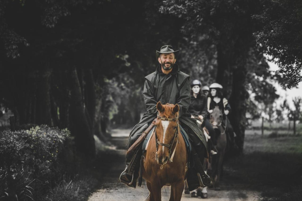 Glamping In Toscana, Luxury Tents In Agriturismo Biologico ソラーノ エクステリア 写真